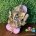 Ganesha infantil 22 cm - rosa bebê e dourado - Image 2